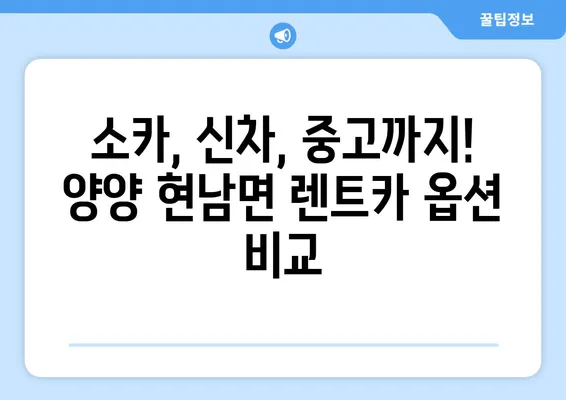 강원도 양양군 현남면 렌트카 가격비교 | 리스 | 장기대여 | 1일비용 | 비용 | 소카 | 중고 | 신차 | 1박2일 2024후기