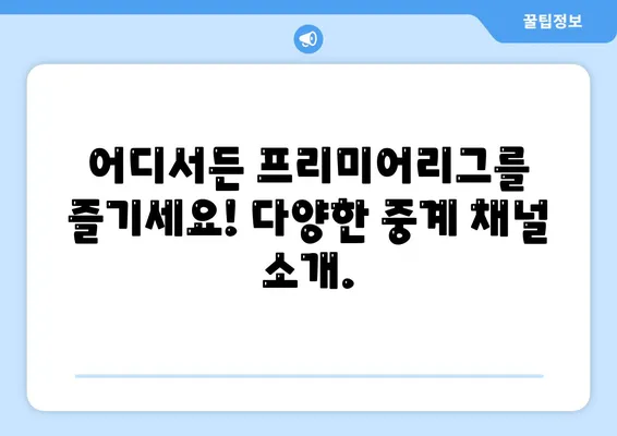 프리미어리그 중계