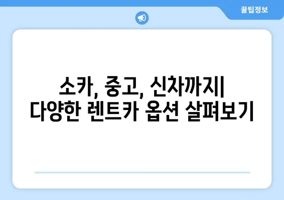 제주도 서귀포시 천지동 렌트카 가격비교 | 리스 | 장기대여 | 1일비용 | 비용 | 소카 | 중고 | 신차 | 1박2일 2024후기