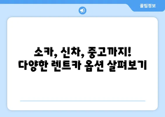 충청북도 청주시 상당구 용암1동 렌트카 가격비교 | 리스 | 장기대여 | 1일비용 | 비용 | 소카 | 중고 | 신차 | 1박2일 2024후기