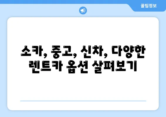 제주도 서귀포시 대륜동 렌트카 가격비교 | 리스 | 장기대여 | 1일비용 | 비용 | 소카 | 중고 | 신차 | 1박2일 2024후기