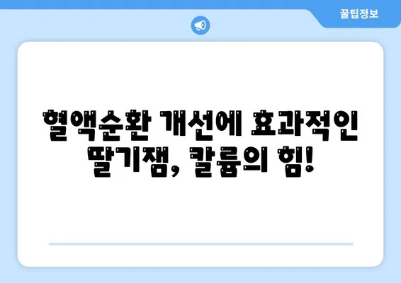 딸기잼 효능