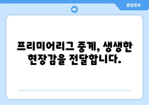 프리미어리그 중계