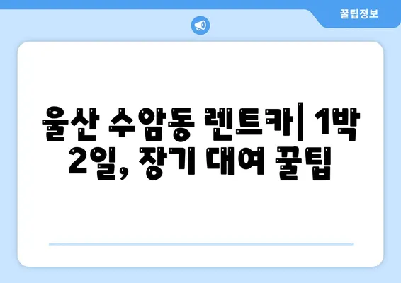 울산시 남구 수암동 렌트카 가격비교 | 리스 | 장기대여 | 1일비용 | 비용 | 소카 | 중고 | 신차 | 1박2일 2024후기