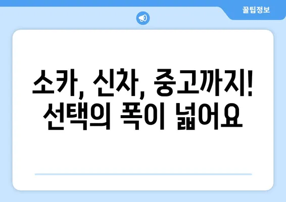 부산시 남구 용호4동 렌트카 가격비교 | 리스 | 장기대여 | 1일비용 | 비용 | 소카 | 중고 | 신차 | 1박2일 2024후기