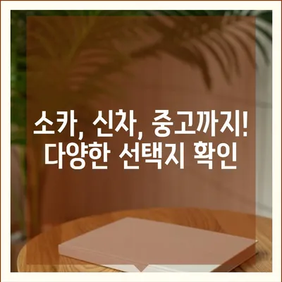 부산시 사하구 하단2동 렌트카 가격비교 | 리스 | 장기대여 | 1일비용 | 비용 | 소카 | 중고 | 신차 | 1박2일 2024후기