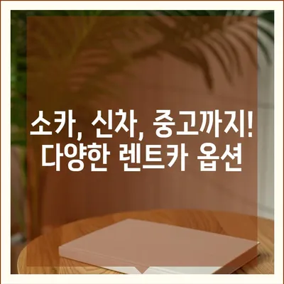 광주시 동구 동명동 렌트카 가격비교 | 리스 | 장기대여 | 1일비용 | 비용 | 소카 | 중고 | 신차 | 1박2일 2024후기