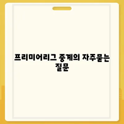 프리미어리그 중계