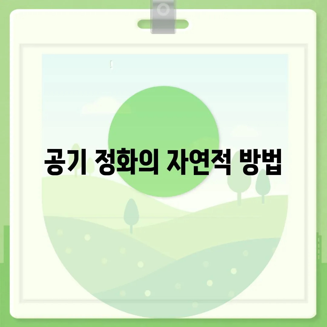 공기 정화의 자연적 방법