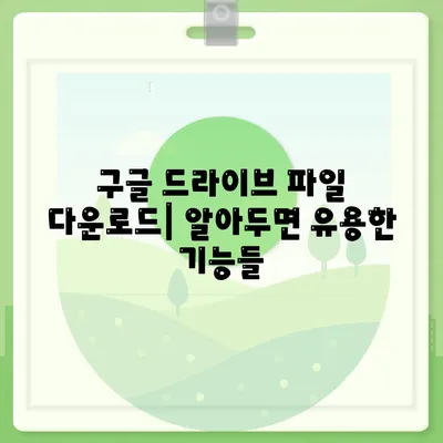 구글 자료 다운로드