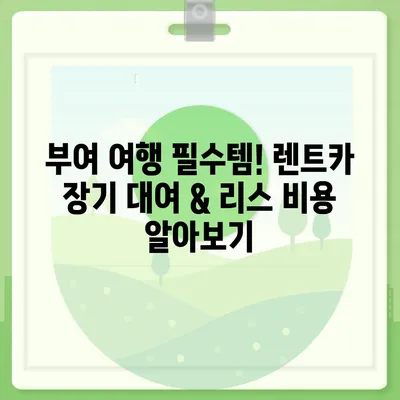 충청남도 부여군 양화면 렌트카 가격비교 | 리스 | 장기대여 | 1일비용 | 비용 | 소카 | 중고 | 신차 | 1박2일 2024후기