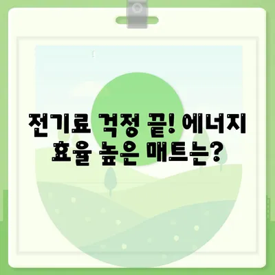 전기장판 온수매트 카본매트 탄소매트 원리 차이 장