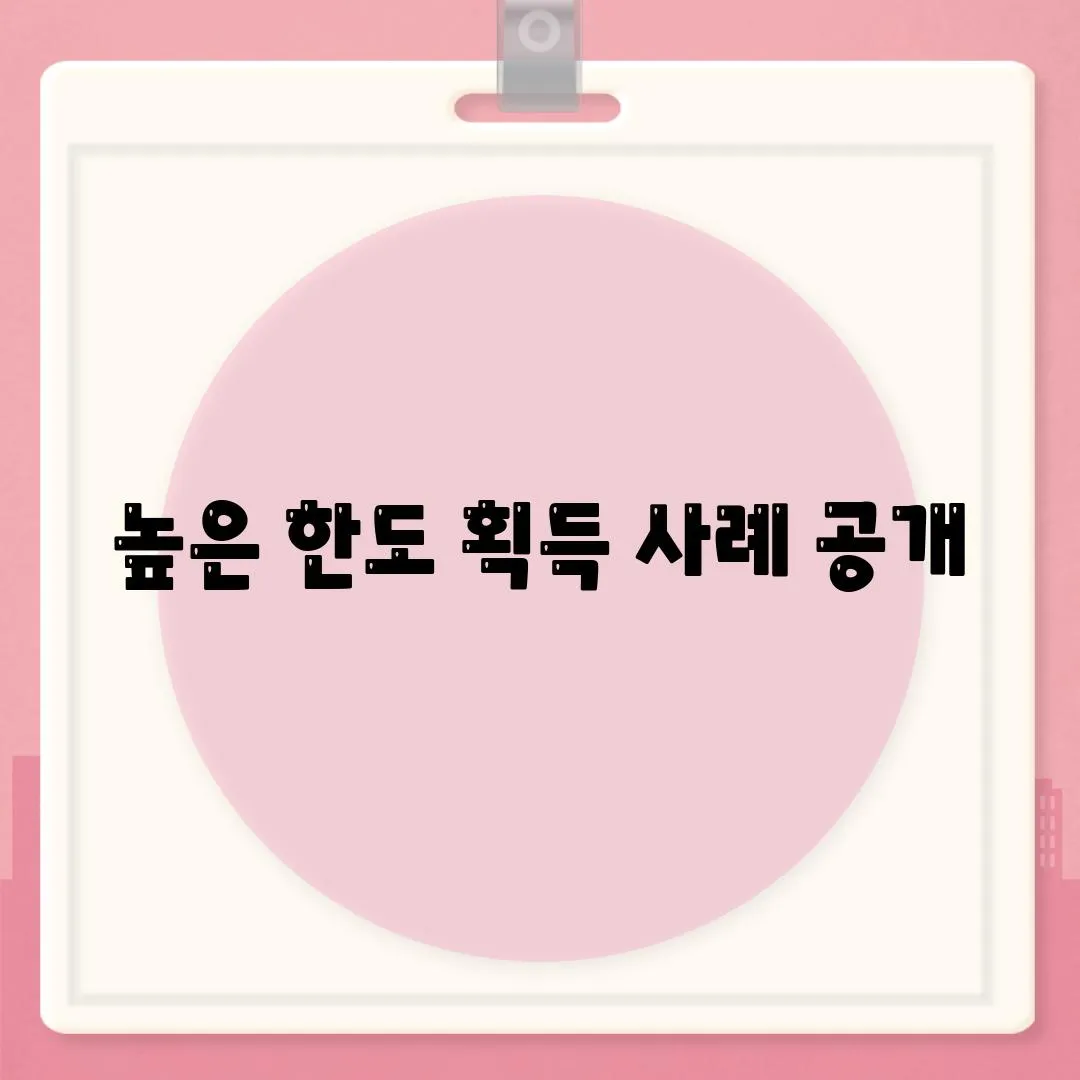 높은 한도 획득 사례 공개