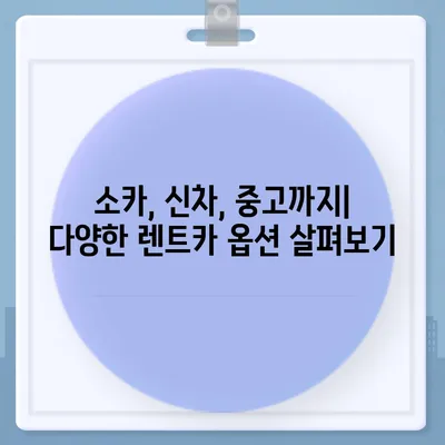 충청북도 충주시 교현2동 렌트카 가격비교 | 리스 | 장기대여 | 1일비용 | 비용 | 소카 | 중고 | 신차 | 1박2일 2024후기