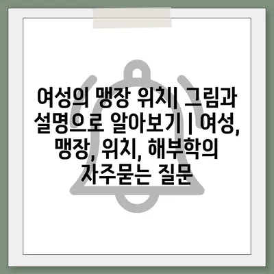 여성의 맹장 위치| 그림과 설명으로 알아보기 | 여성, 맹장, 위치, 해부학