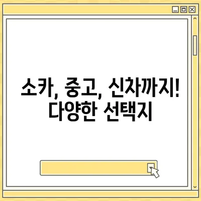 광주시 동구 학동 렌트카 가격비교 | 리스 | 장기대여 | 1일비용 | 비용 | 소카 | 중고 | 신차 | 1박2일 2024후기