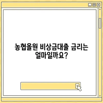 농협올원 비상금대출, 긴급 자금 마련 완벽 가이드 | 금리, 한도, 신청 방법, 필요 서류