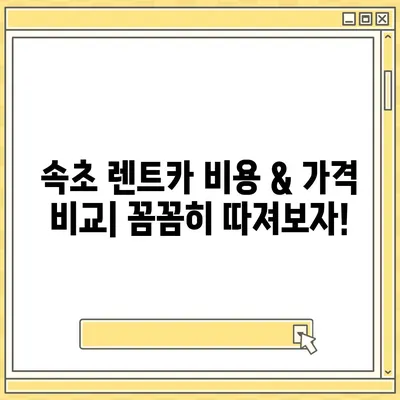 강원도 속초시 금호동 렌트카 가격비교 | 리스 | 장기대여 | 1일비용 | 비용 | 소카 | 중고 | 신차 | 1박2일 2024후기