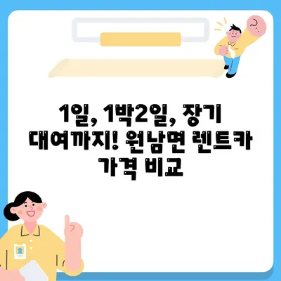 충청북도 음성군 원남면 렌트카 가격비교 | 리스 | 장기대여 | 1일비용 | 비용 | 소카 | 중고 | 신차 | 1박2일 2024후기