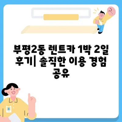 인천시 부평구 부평2동 렌트카 가격비교 | 리스 | 장기대여 | 1일비용 | 비용 | 소카 | 중고 | 신차 | 1박2일 2024후기