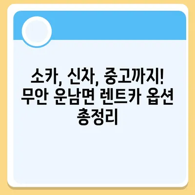 전라남도 무안군 운남면 렌트카 가격비교 | 리스 | 장기대여 | 1일비용 | 비용 | 소카 | 중고 | 신차 | 1박2일 2024후기