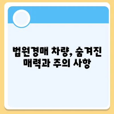 법원경매 중고차