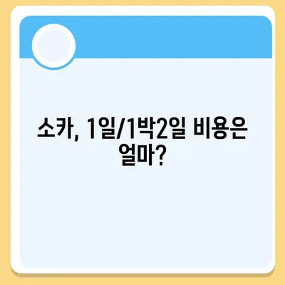 강원도 고성군 토성면 렌트카 가격비교 | 리스 | 장기대여 | 1일비용 | 비용 | 소카 | 중고 | 신차 | 1박2일 2024후기