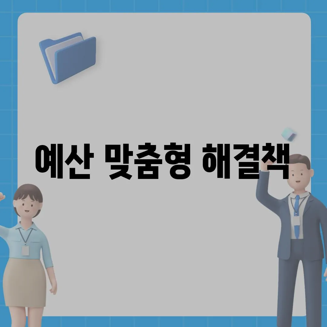 예산 맞춤형 해결책