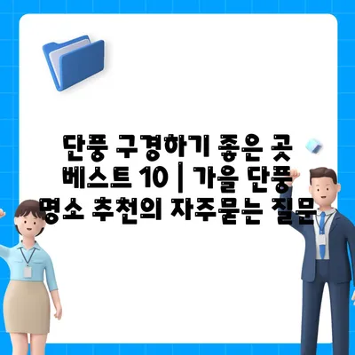 단풍 구경하기 좋은 곳 베스트 10 | 가을 단풍 명소 추천