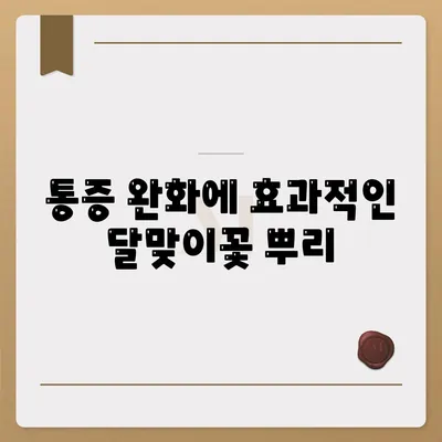 달맞이꽃 뿌리효능