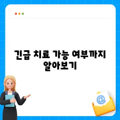 긴급 치료 가능 여부까지 알아보기