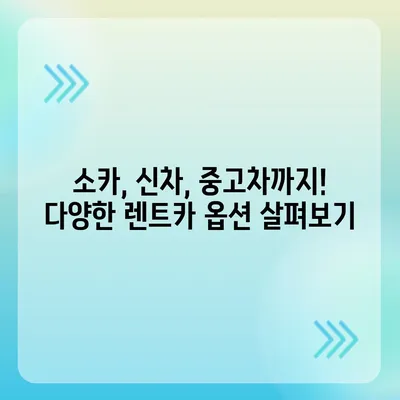 서울시 송파구 송파2동 렌트카 가격비교 | 리스 | 장기대여 | 1일비용 | 비용 | 소카 | 중고 | 신차 | 1박2일 2024후기