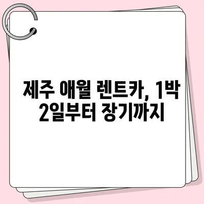 제주도 제주시 애월읍 렌트카 가격비교 | 리스 | 장기대여 | 1일비용 | 비용 | 소카 | 중고 | 신차 | 1박2일 2024후기