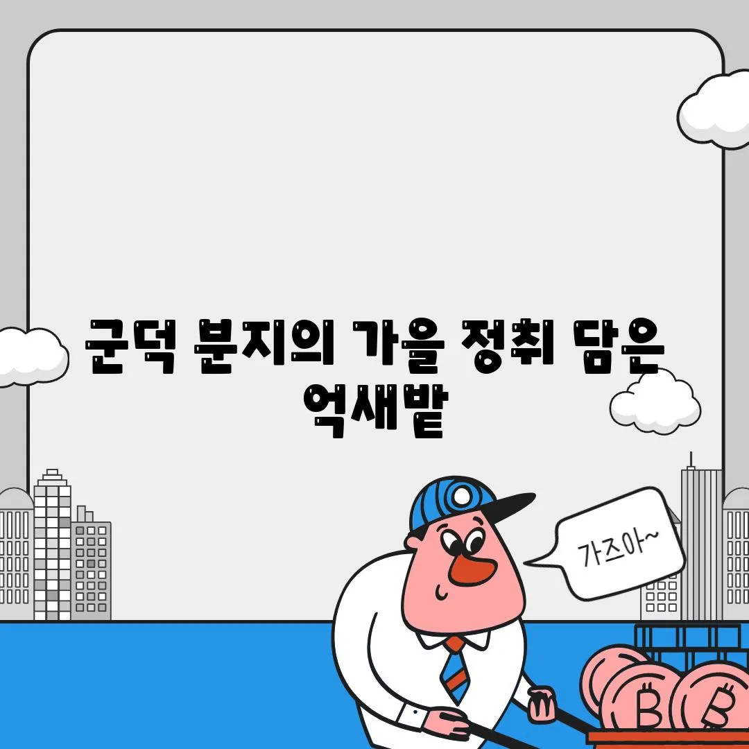 군덕 분지의 가을 정취 담은 억새밭