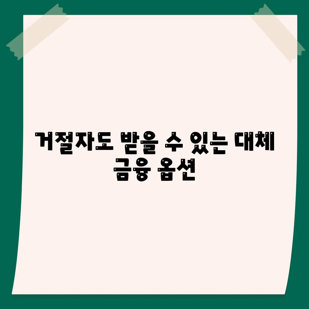 거절자도 받을 수 있는 대체 금융 옵션