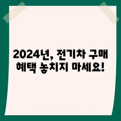 2024 전기차보조금