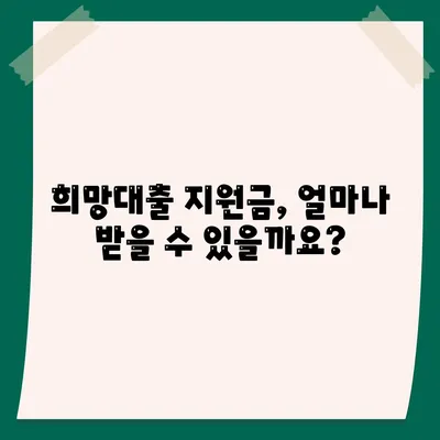 소상공인 희망대출 지원금 신청