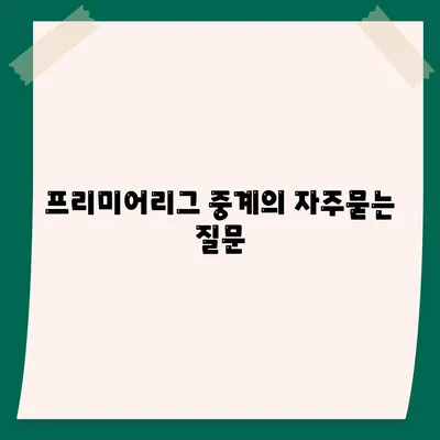 프리미어리그 중계