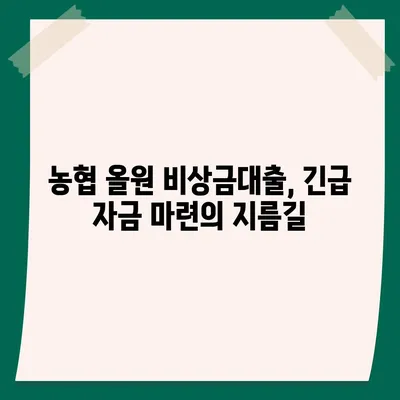 농협 올원 비상금대출, 급할 때 바로 받는 방법 | 비상금대출, 긴급자금, 대출조건, 신청방법