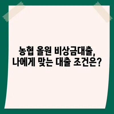 농협 올원 비상금대출, 급할 때 빠르게 이용하는 방법 | 비상금대출, 농협, 올원, 대출 조건, 신청 방법