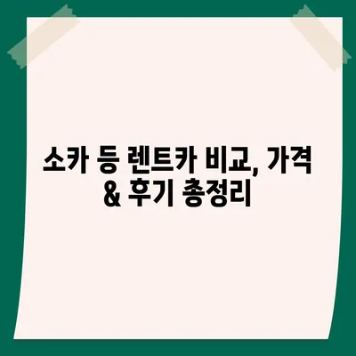 부산시 강서구 천가동 렌트카 가격비교 | 리스 | 장기대여 | 1일비용 | 비용 | 소카 | 중고 | 신차 | 1박2일 2024후기