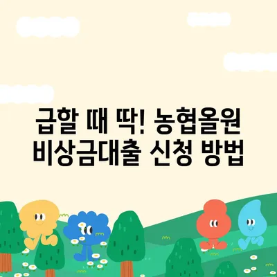 농협올원 비상금대출, 긴급 자금 마련 완벽 가이드 | 금리, 한도, 신청 방법, 필요 서류