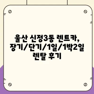 울산시 남구 신정3동 렌트카 가격비교 | 리스 | 장기대여 | 1일비용 | 비용 | 소카 | 중고 | 신차 | 1박2일 2024후기