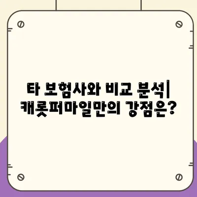 캐롯퍼마일자동차보험 후기