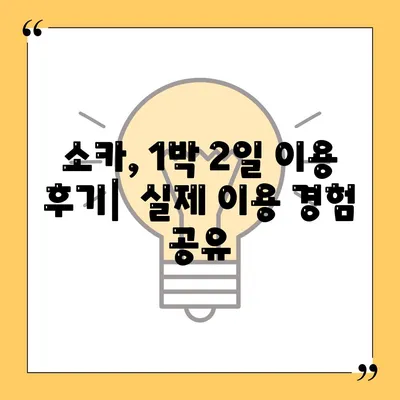 충청북도 청주시 서원구 사직2동 렌트카 가격비교 | 리스 | 장기대여 | 1일비용 | 비용 | 소카 | 중고 | 신차 | 1박2일 2024후기