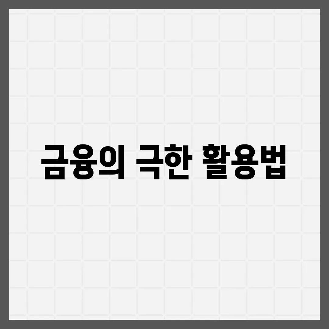 금융의 극한 활용법