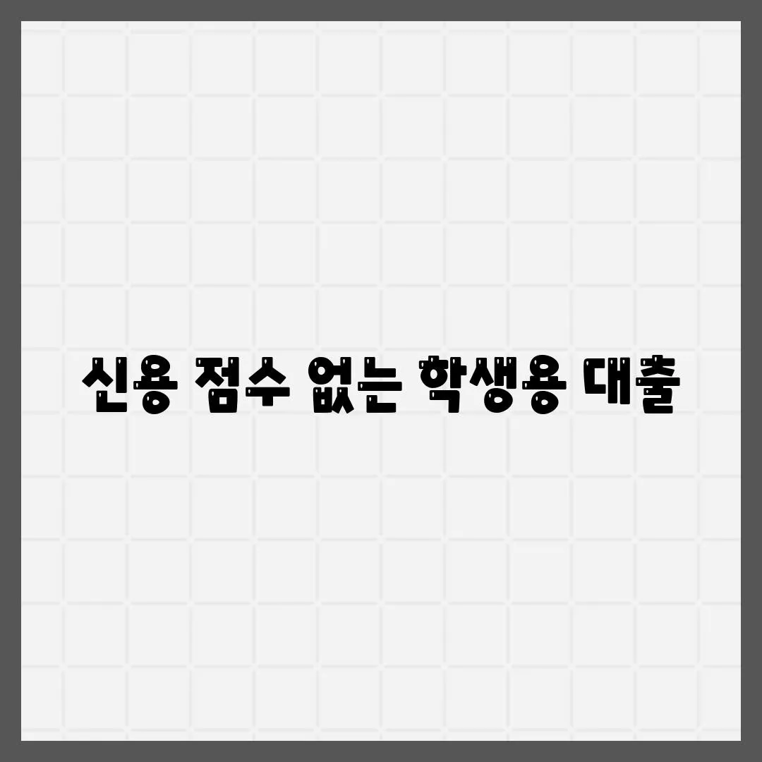 신용 점수 없는 학생용 대출