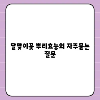 달맞이꽃 뿌리효능