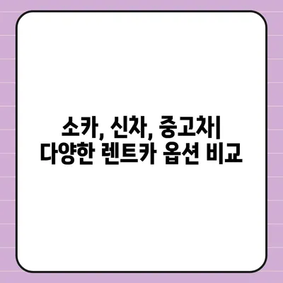 전라남도 완도군 고금면 렌트카 가격비교 | 리스 | 장기대여 | 1일비용 | 비용 | 소카 | 중고 | 신차 | 1박2일 2024후기