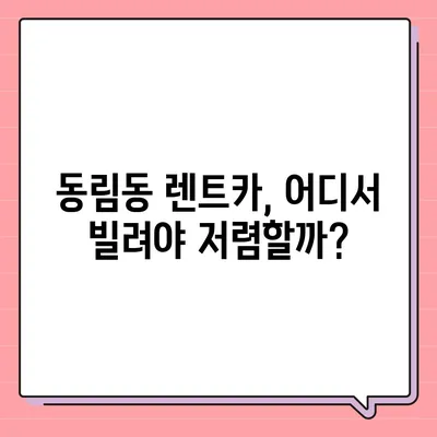 광주시 북구 동림동 렌트카 가격비교 | 리스 | 장기대여 | 1일비용 | 비용 | 소카 | 중고 | 신차 | 1박2일 2024후기